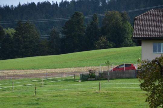 DSC_6203