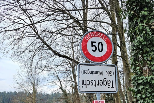 schilder