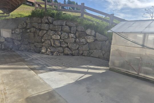 20250531_082800.jpg