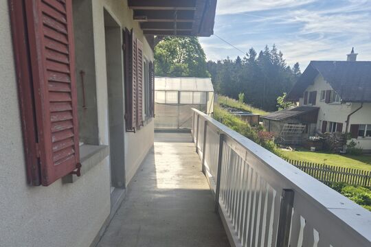 20250531_082827.jpg