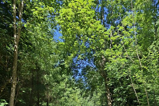 20260621_112734.jpg