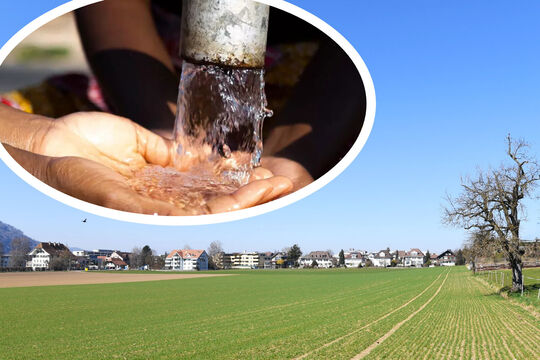 Muensingen Madagaskar-High-Quality