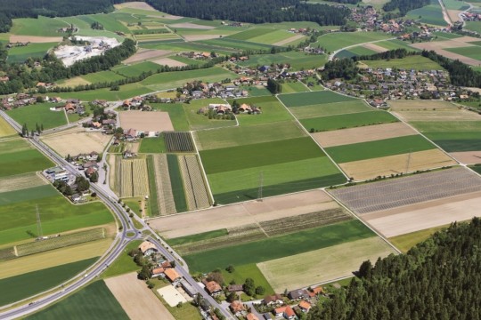 oppliogen
