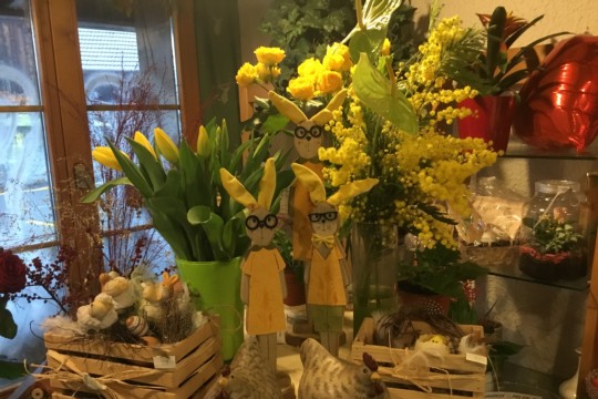IMG_2953.jpeg