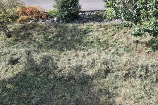 20260809_103112.jpg