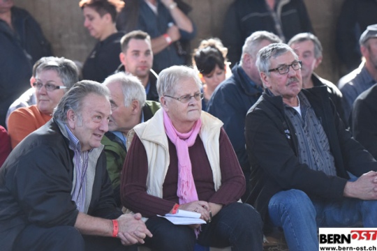 fa175dda239f36cf6dd192a7df7df243.jpg