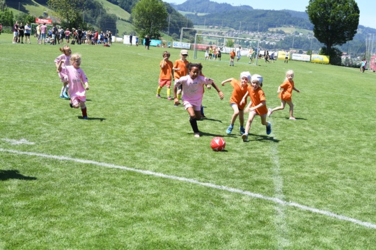 fc011cd5241482aac7d3fb419fcffac3.jpg