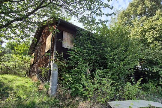 Bild 18'000 Franken f&uuml;rs Pfadiheim