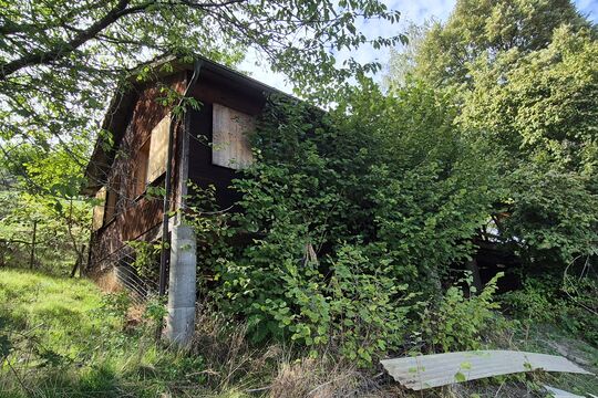 Bild 18'000 Franken f&uuml;rs Pfadiheim