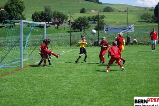 fd230a03ea7208ebc1d07efbb6d97bc7.jpg
