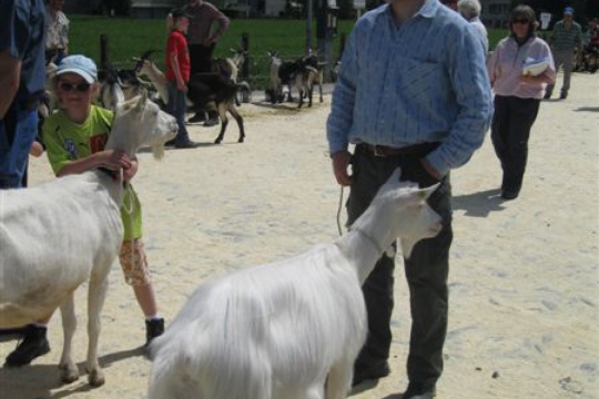 fe0be9591249f2df6126fc909823e69a.jpg