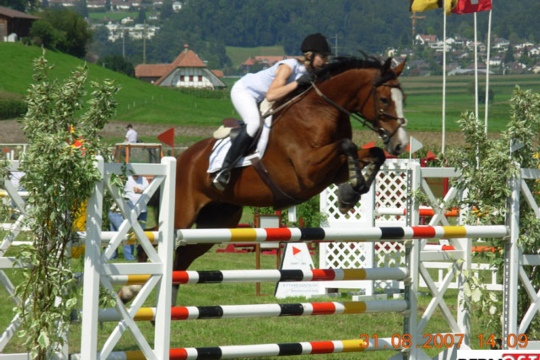 fe2c8e09935f799e2edf0221dddd57df.jpg