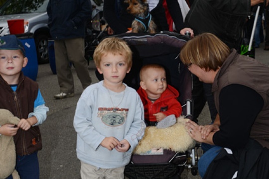 fe4197f24f03c2686d404c940866caef.jpg