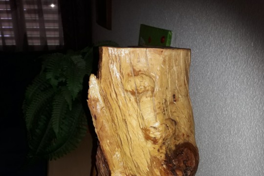 20190924_183810.jpg