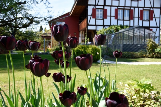 fe606c88eb50e2cab4cc9b631beed371.jpg