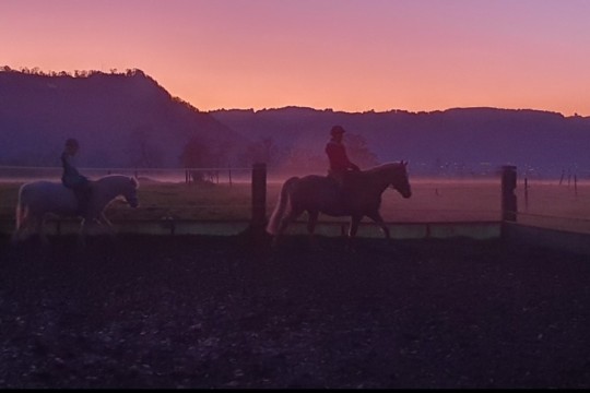 Reitplatz bei Sonnenuntergang.jpg