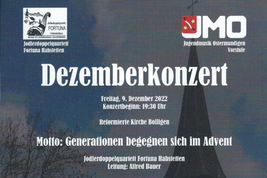 konzert bolligen.jpg