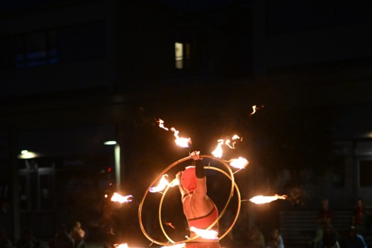 DSC_1500
