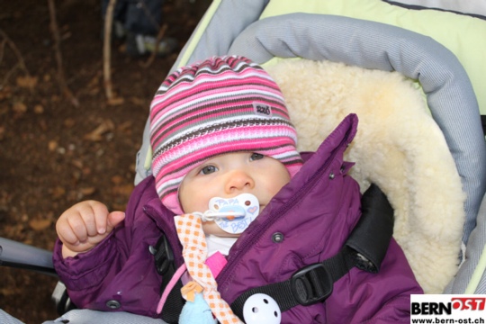 ff6d13fcdfbb22f149d2ae71ac10733f.jpg
