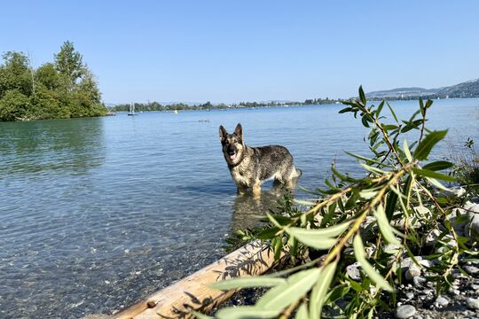 IMG_4344.jpeg
