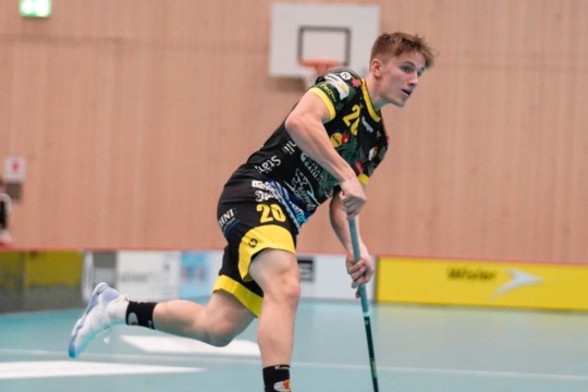 Stucki